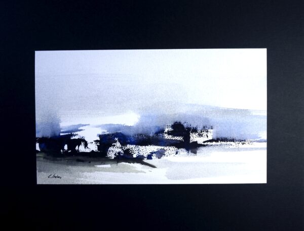 1518 Belle Ile la cote sauvage